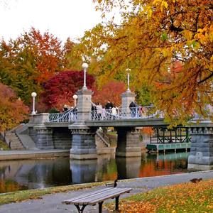 Meet your Posher, Sonia